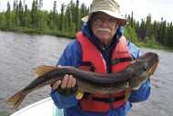 pike fishing canada pike fishing canada