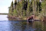 fly in fishing trip